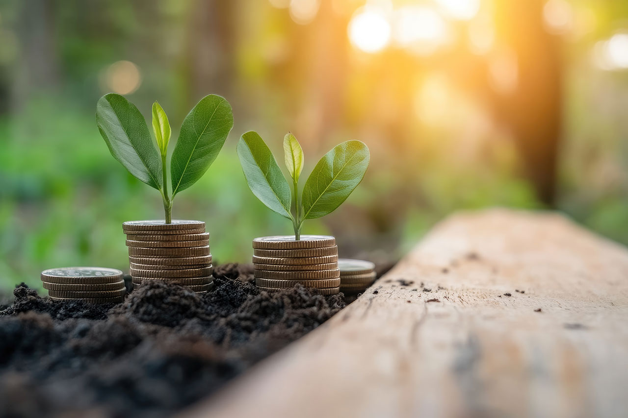 Junge Pflanzen wachsen aus Münzstapeln im Boden – Symbol für nachhaltige Investitionen und finanzielles Wachstum